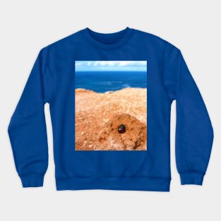 Beetle Bight Crewneck Sweatshirt